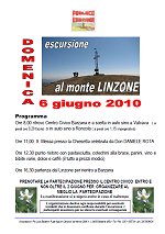 Linzone2010